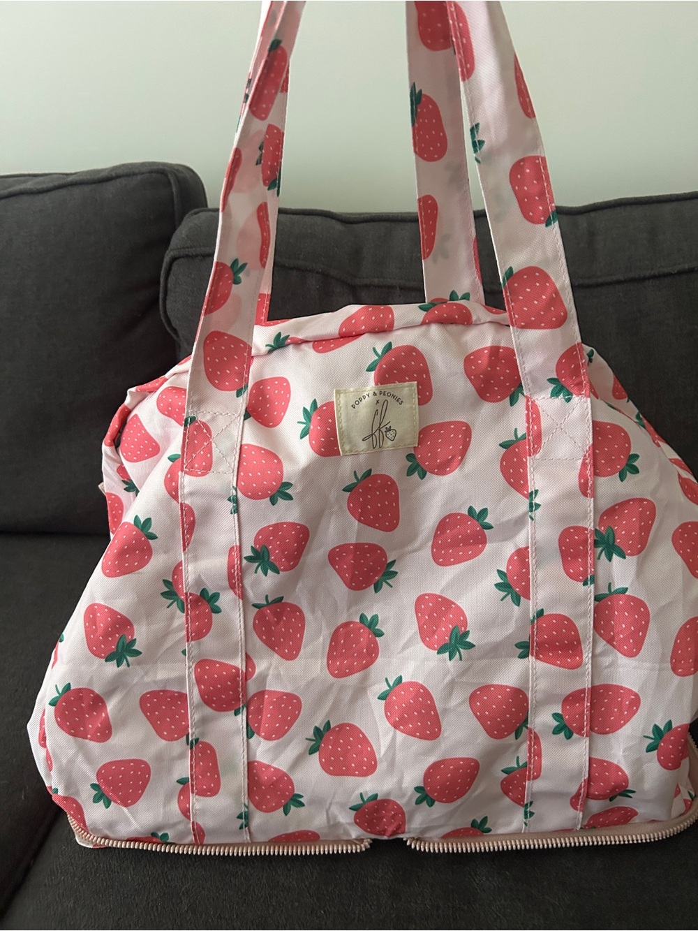 🍓Poppy & Peonies x Fallon Large Strawberry Print Packable Tote🍓
